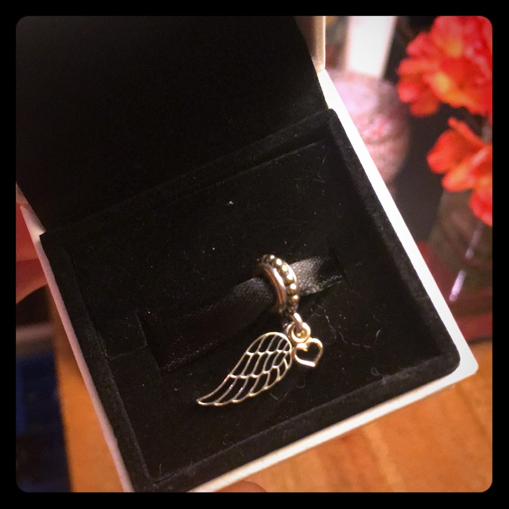 Pandora Dangle Charm Love & Guidance